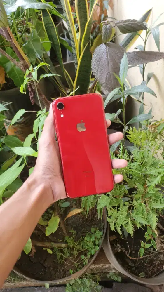 Iphone xr 256 inter pakai sendiri