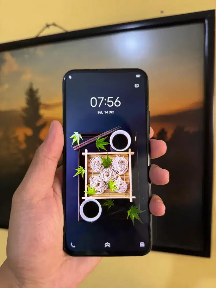 Vivo V17 Pro 8/128 GB