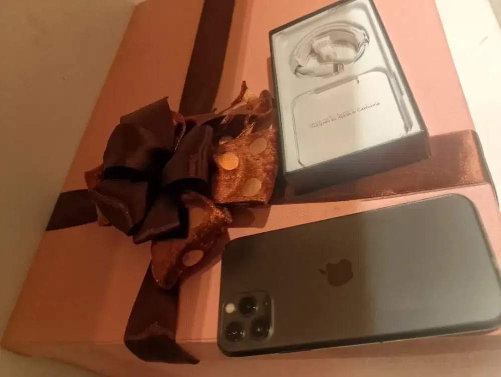 Iphone 11 pro 256gb tetep masih baru