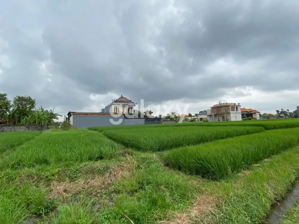 TANAH BUDUK BERNASI VILLAGE MENGWI BADUNG, BALI