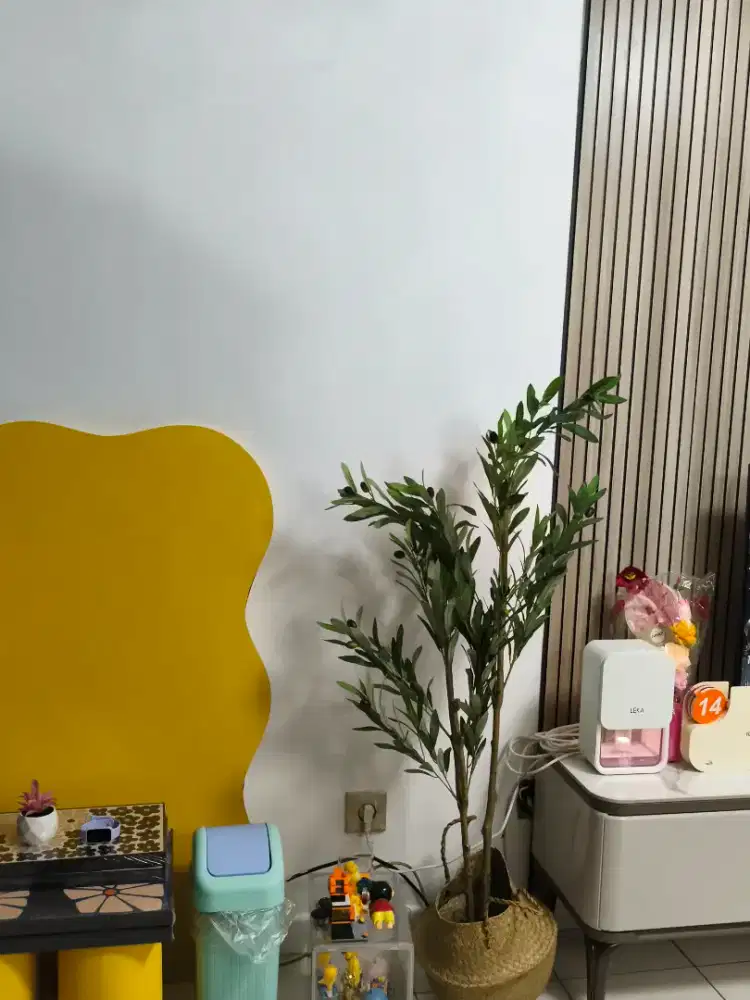 Dicari host live tiktok