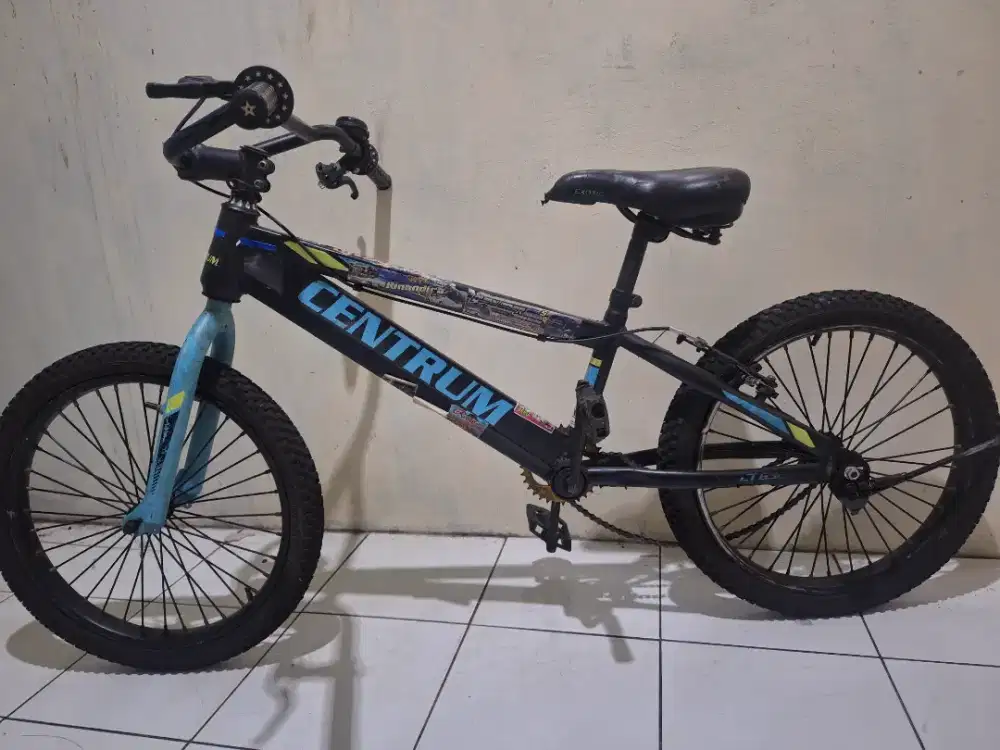 Sepeda anak 10 tahun