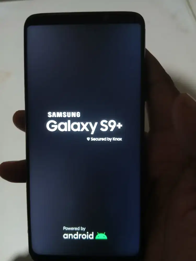 Preloved Samsung S9+ 6/64
