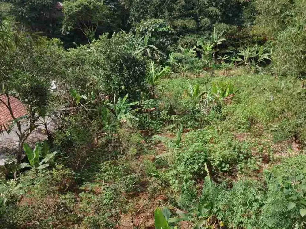 Dijual Lahan Dibawah Urat Jalur Mata Air, Untuk Pabrik, Villa dan Restoran di Cigombong Bogor