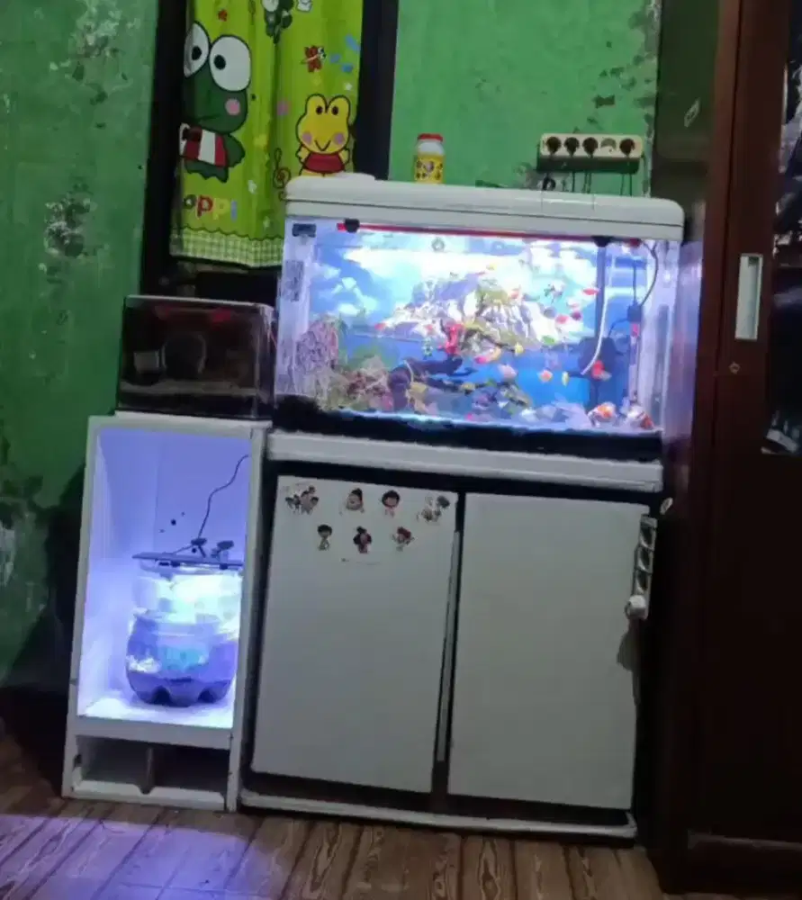 JUAL AQUARIUM BOYU BEKAS