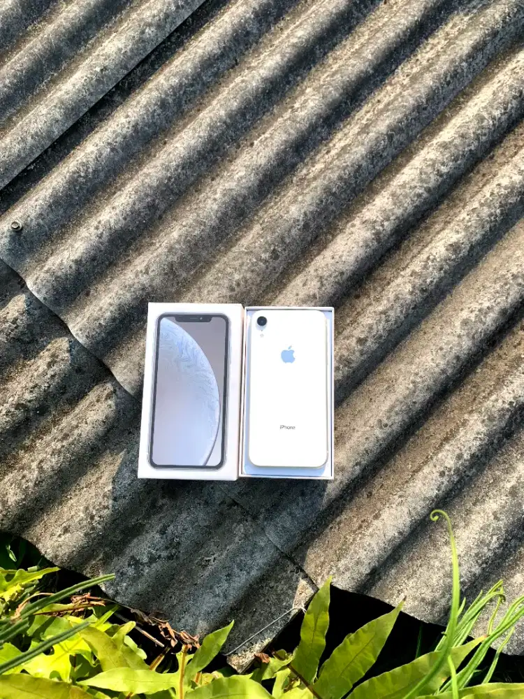 IPHONE XR  64/GB