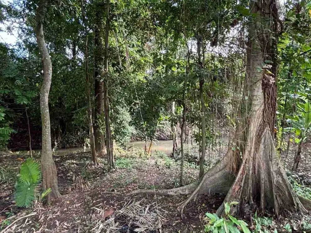 Land for Lease North Pererenan Tumbak Bayuh