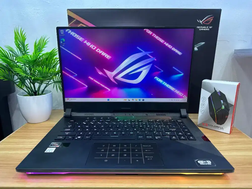ASUS ROG STRIX G533QM
RYZEN 7-5800H/24GB/1TB
RTX 3060 6GB
100% sRGB