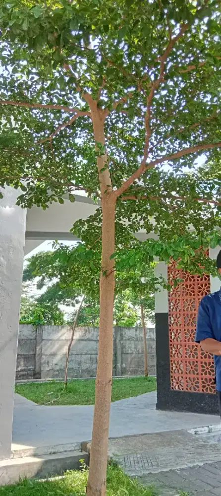 Mencari pekerjaan freelance