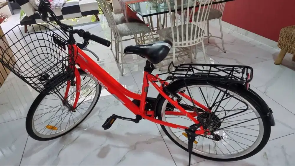 SEPEDA CITYBIKE