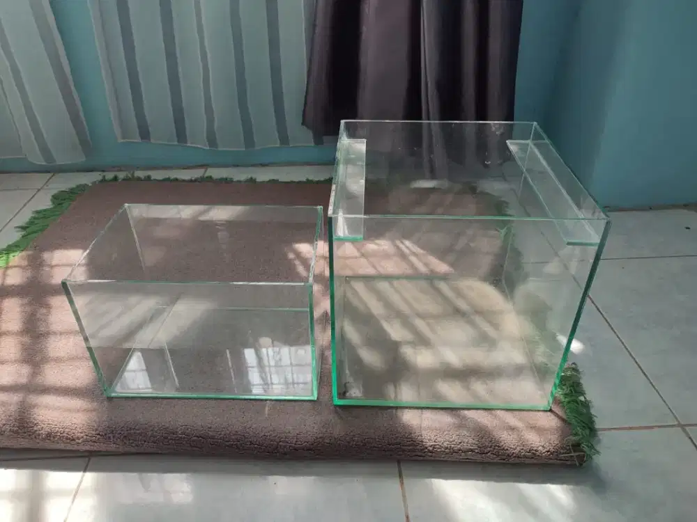 Aquarium ikan hias