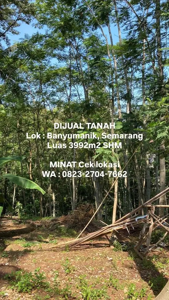 DIJUAL TANAH KEBUN