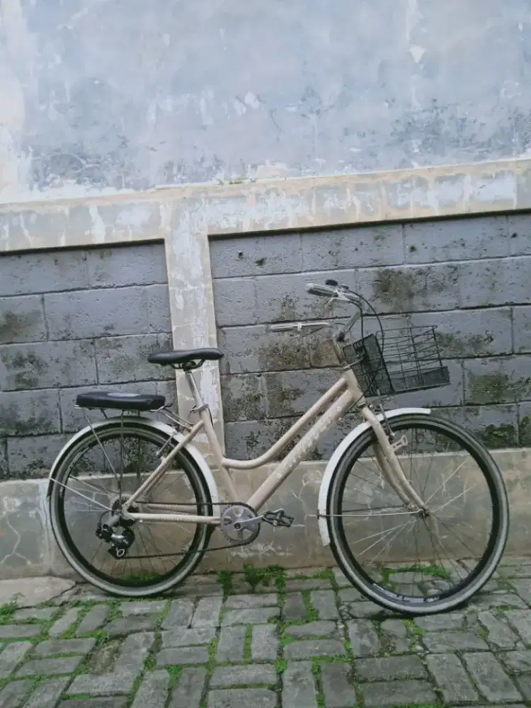 Sepeda keranjang classic