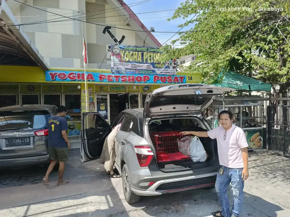 Penjaga Toko Petshop