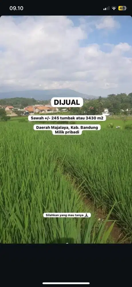 SAWAH DIJUAL TANPA PERANTARA