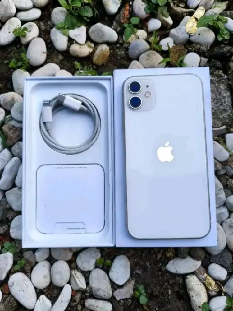 IPHONE 11 64 IBOX