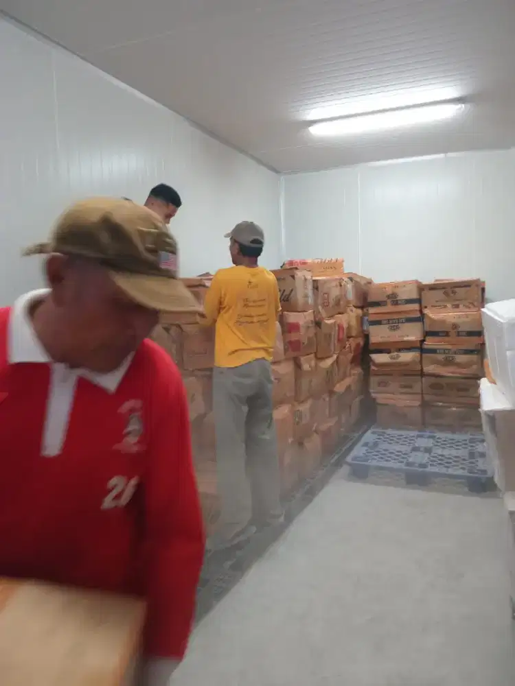 Produsen Daging Durian Medan di Yogyakarta