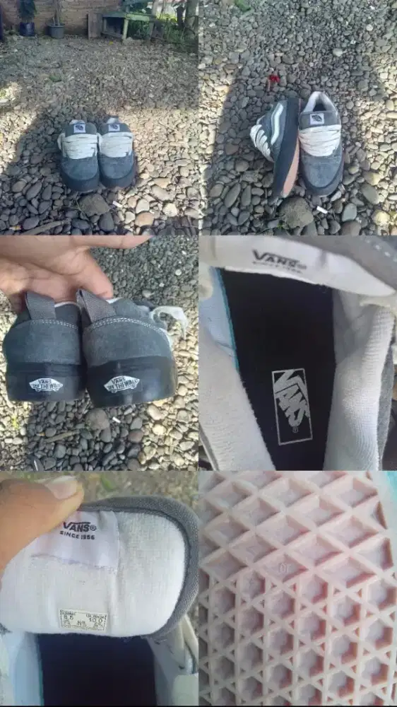 sepatu Vans knu school
