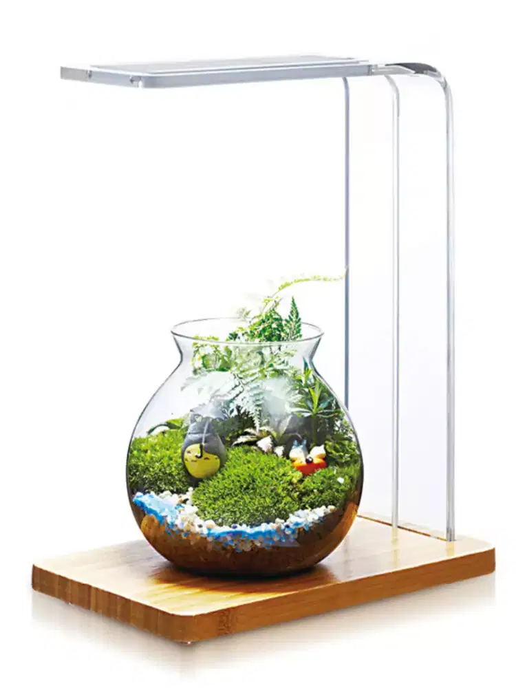 Aquatic studio chihiros light