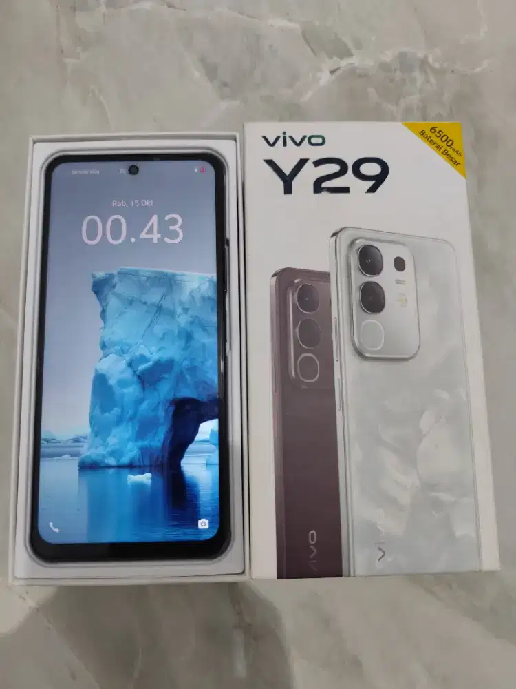 VIVO Y29 RAM 8/128