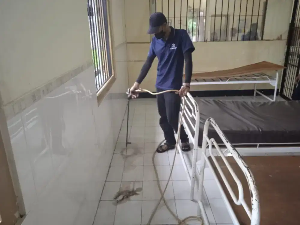 Melayani Jasa Pest Control, Anti Rayap, atau Basmi Hama Rayap