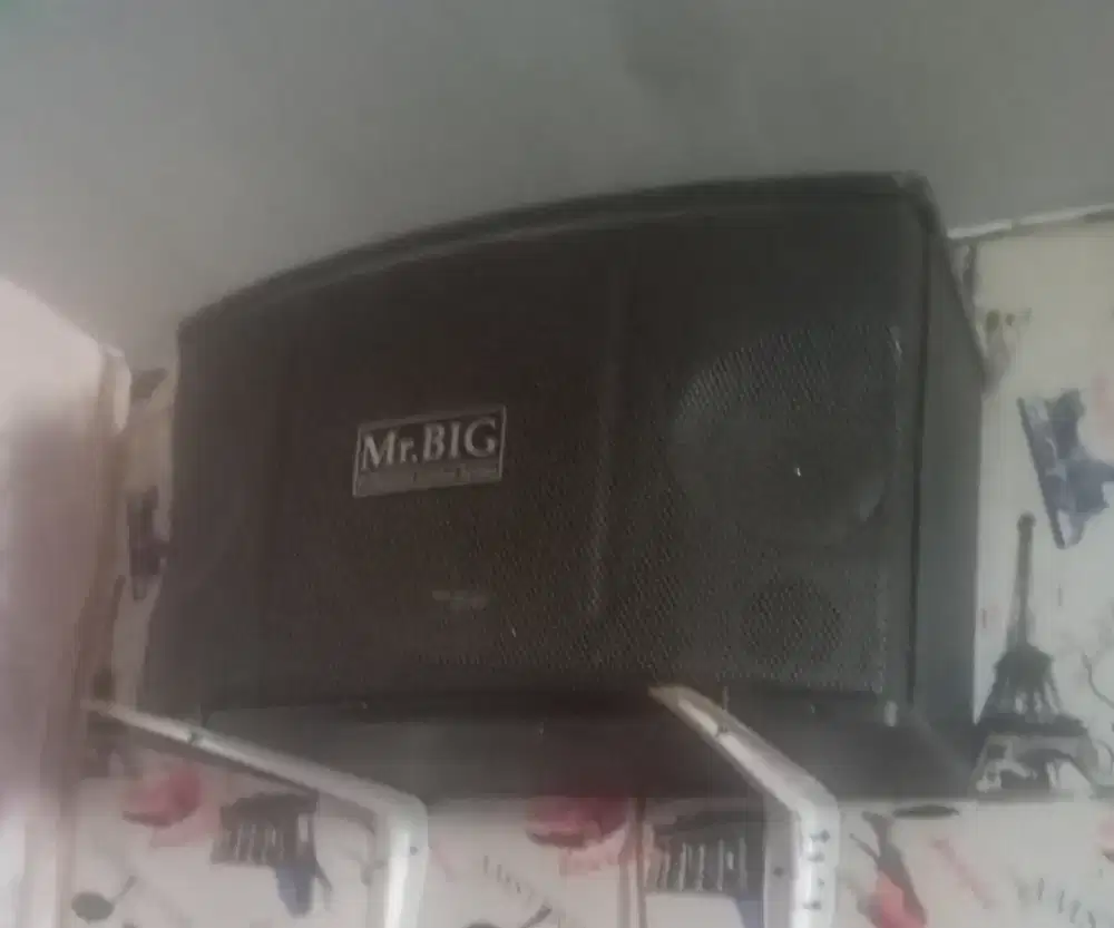 AMPLIFIER 5080 PRO & SPEKER MR.BIG