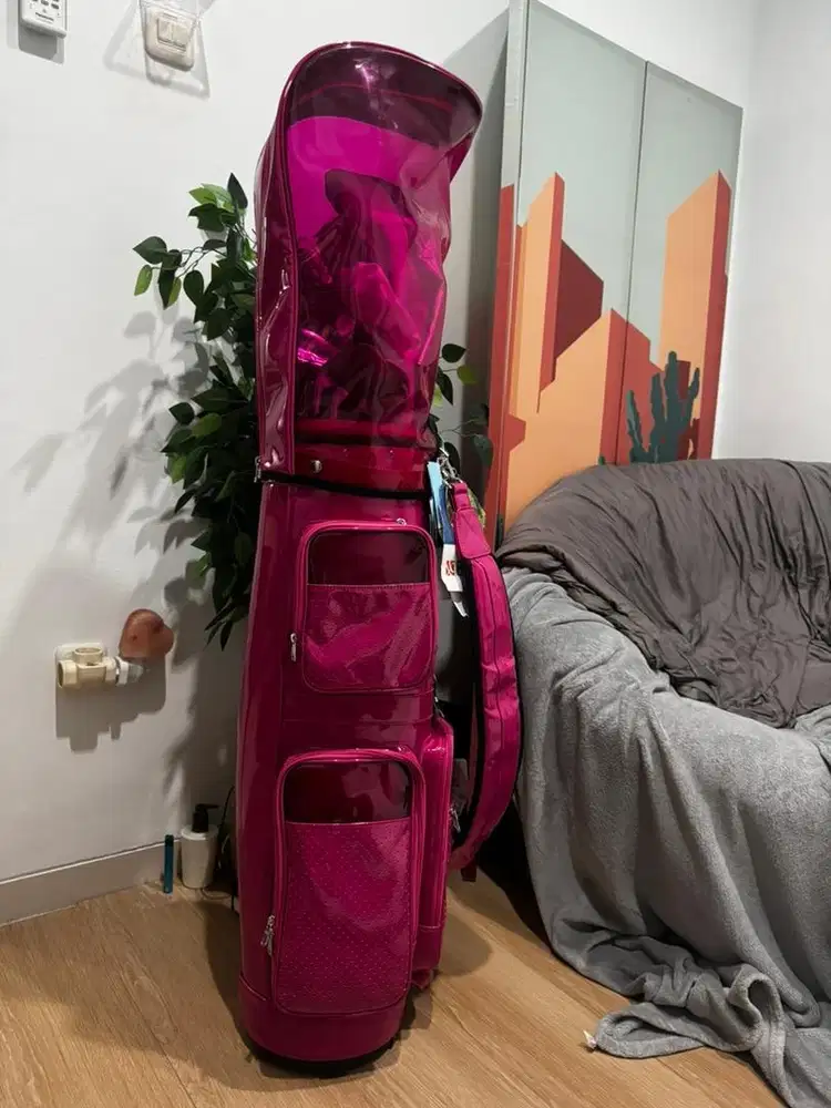 Honma bag & mizuno golf set