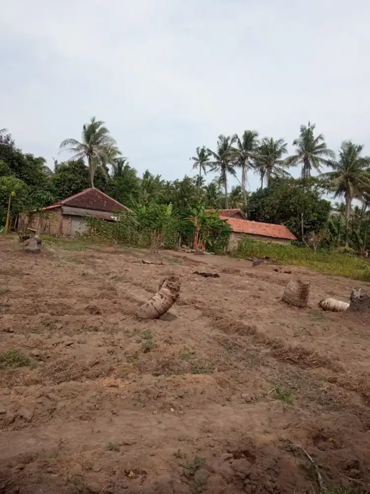 DISEWAKAN LAHAN STRATEGIS /tahun(nego)