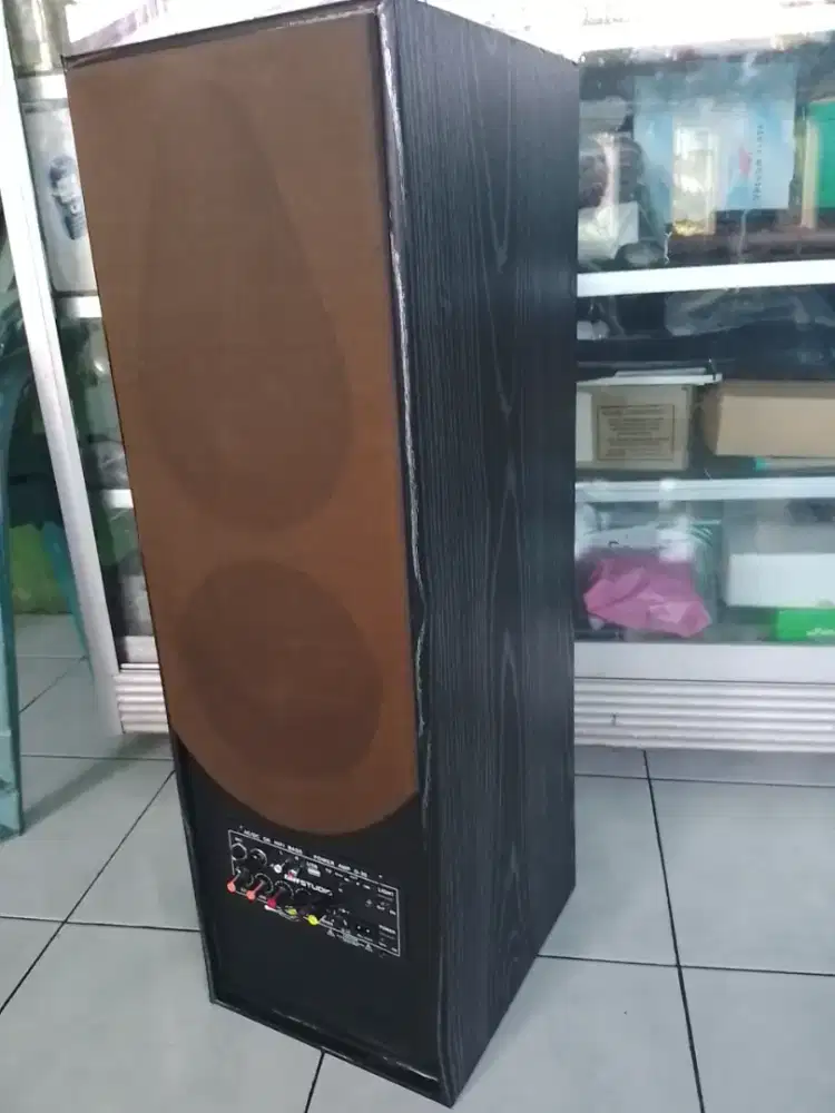 Speker model tunggal buat karaoke blututh
