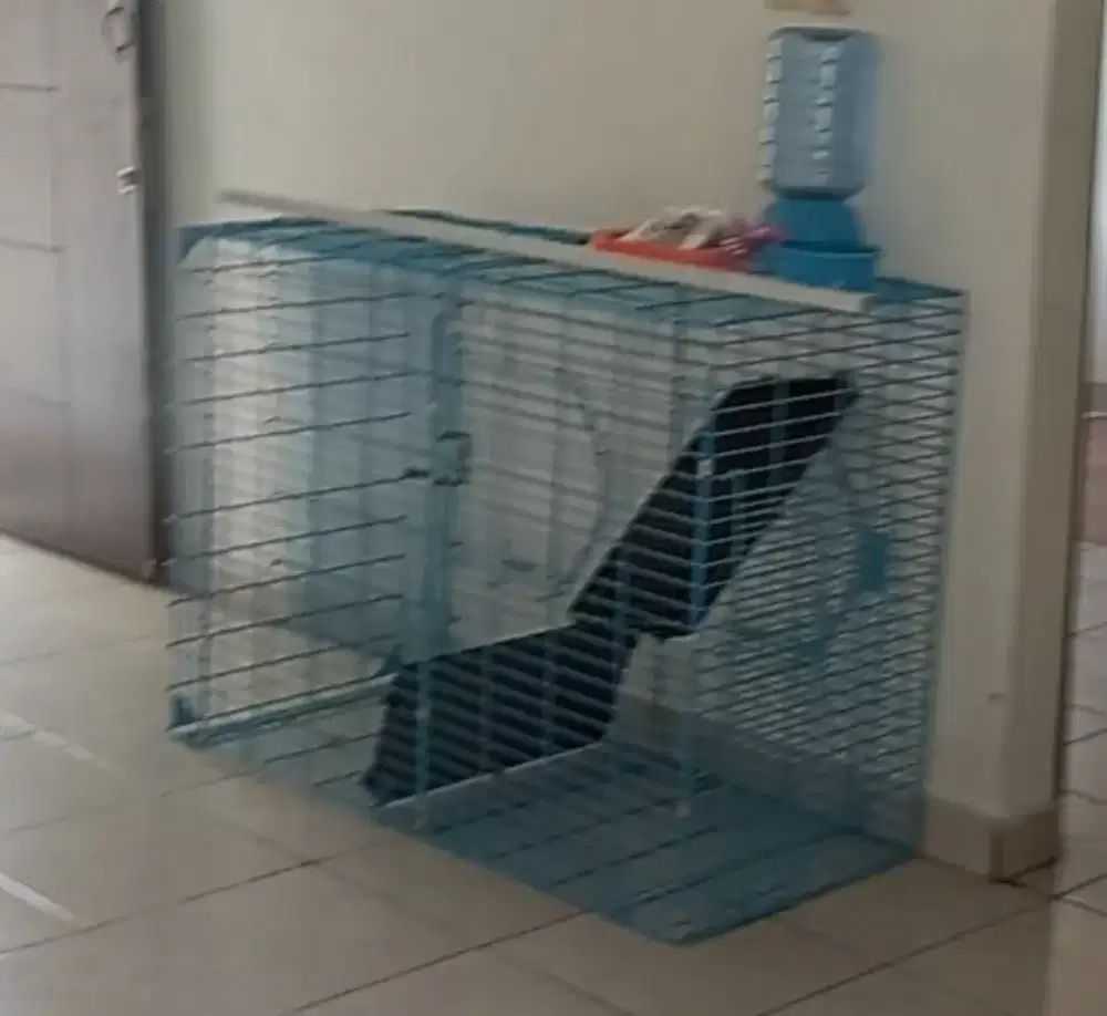 Kandang kucing jumbo, merk Oktagon.