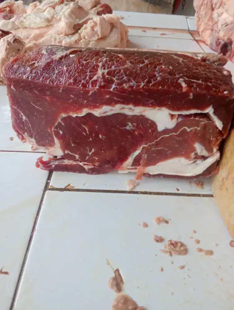 Daging sapi Frozen