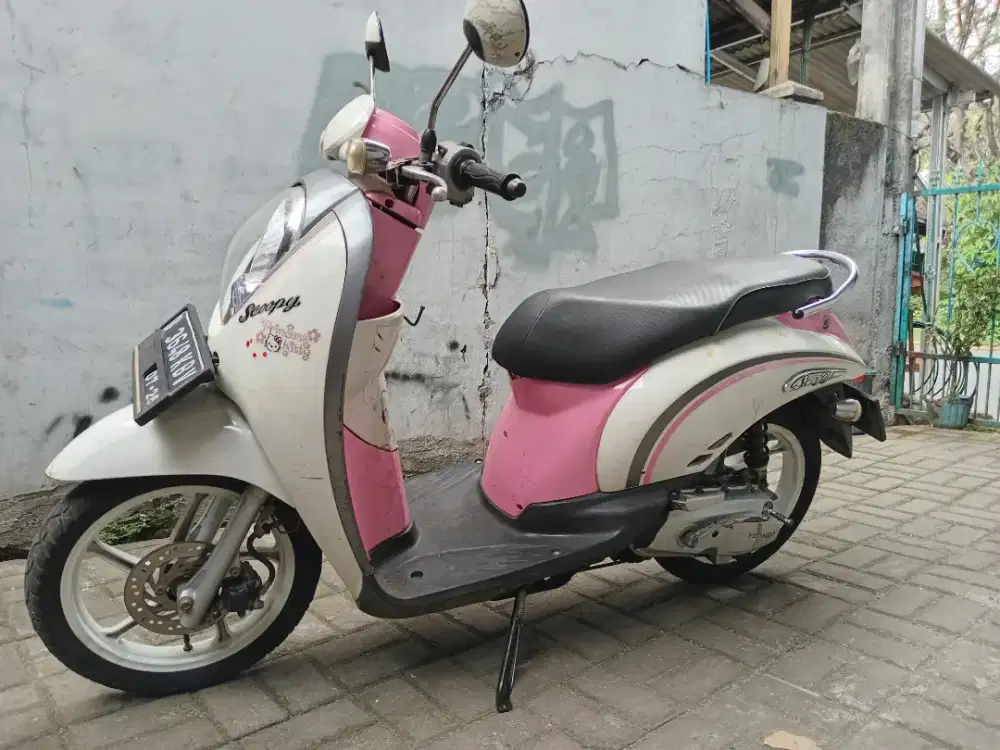 Scoopy mulus pajak hidup