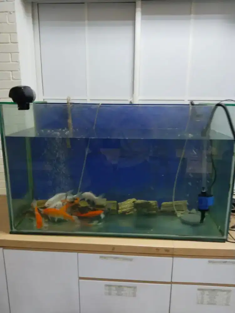 Aquarium 150 x 60