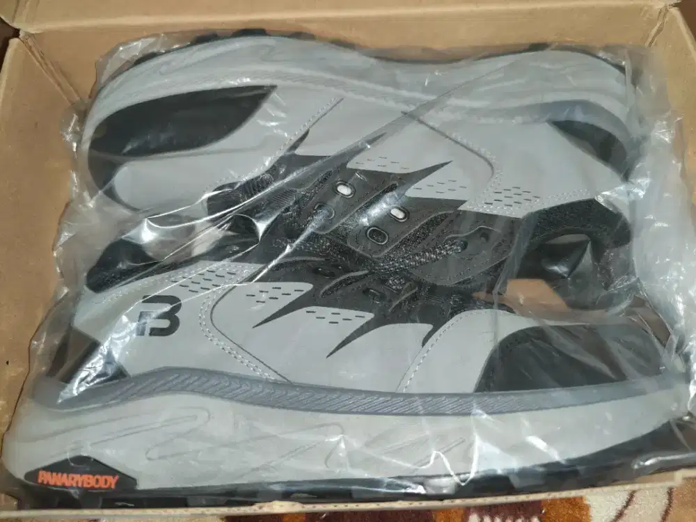 Sepatu Panarybody