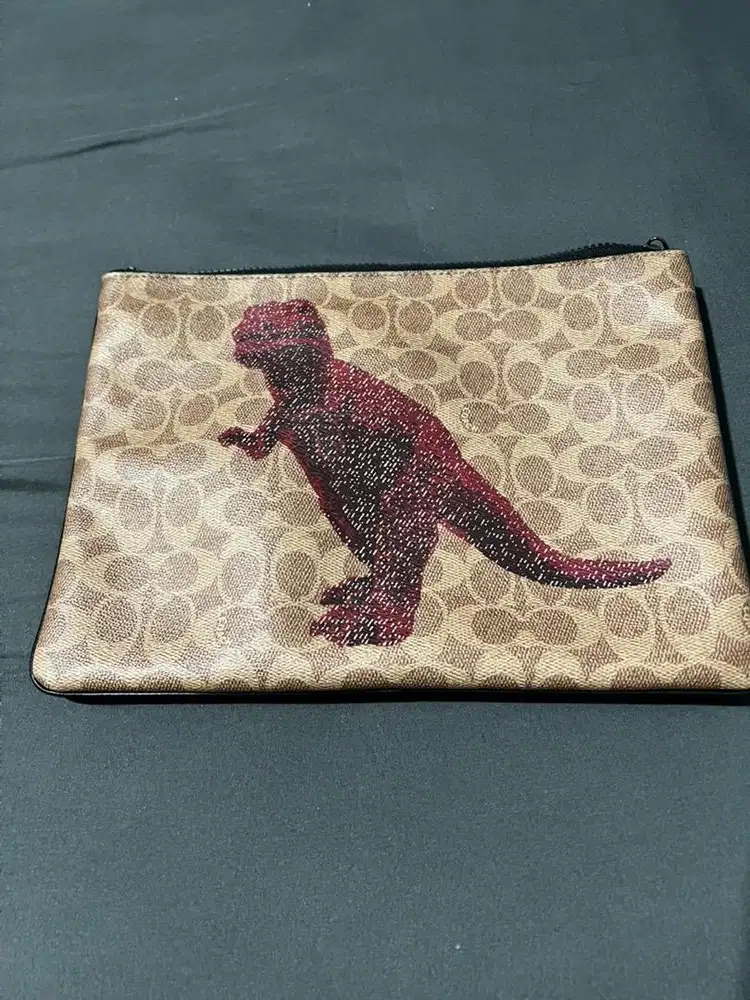 Coach Pouch 30 in signature canvas with rexy by sui jianguo