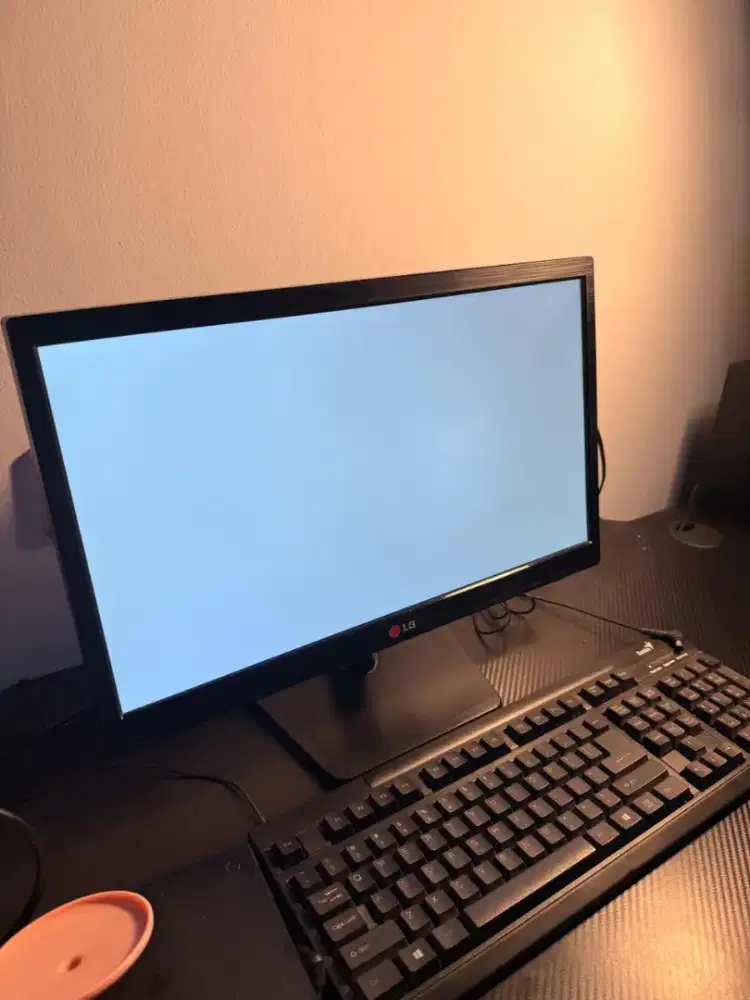 Monitor LG 19 inch