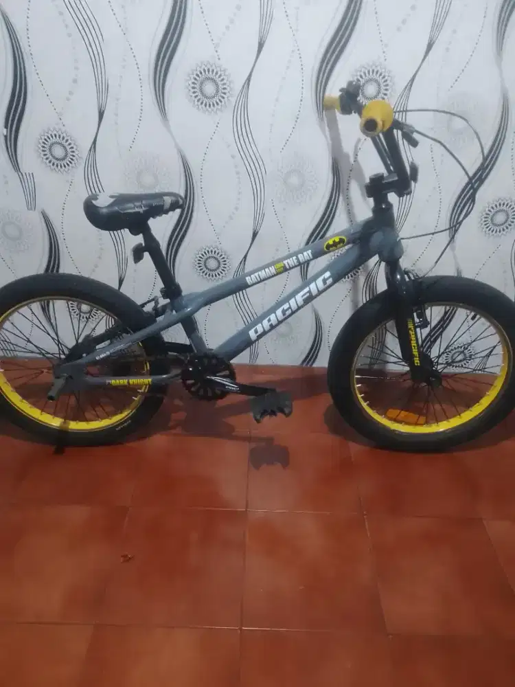 Bmx pacific batman