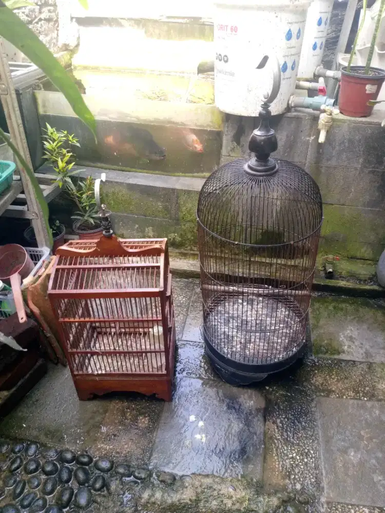 Kandang Lovebird besi dan kayu