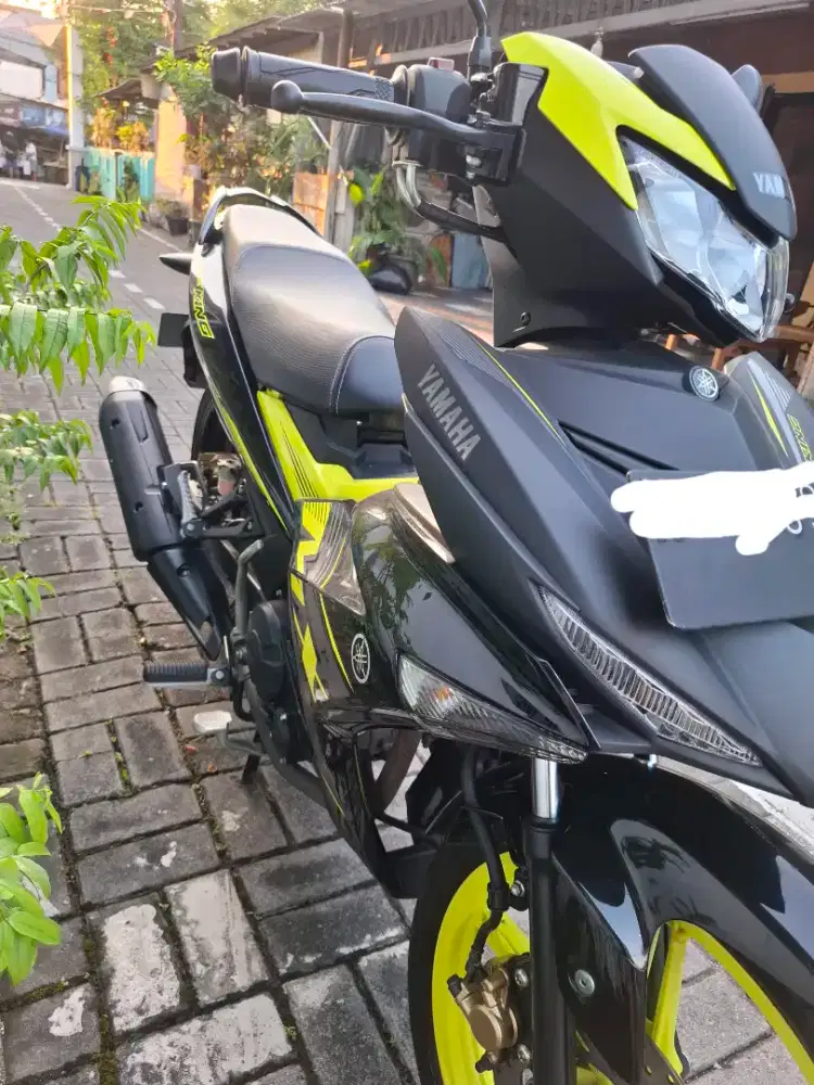 Djual MX King 2021