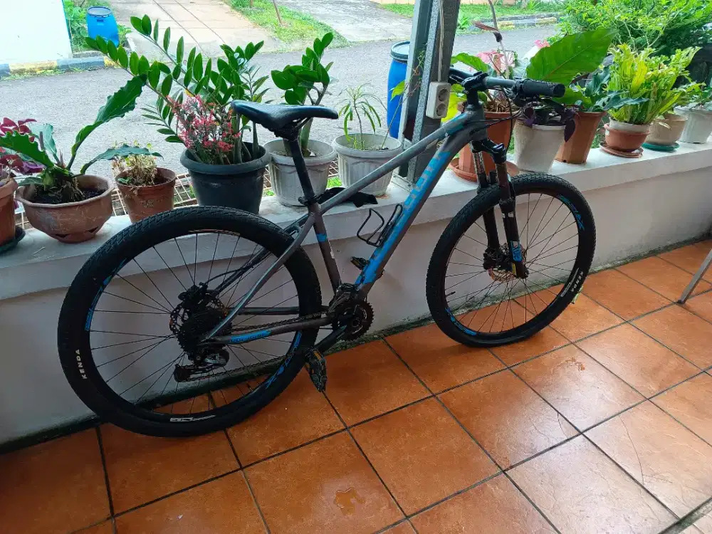 Sepeda MTB Polygon xstrada 5