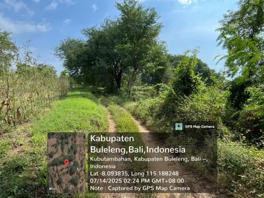 Lelang atau Cessie Tanah Desa Bulian Kubutambahan Buleleng Bali