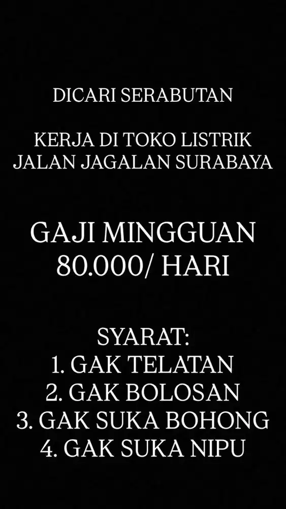 SERABUTAN DI TOKO LISTRIK