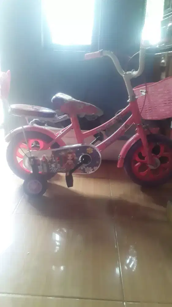 Sepeda anak karakter