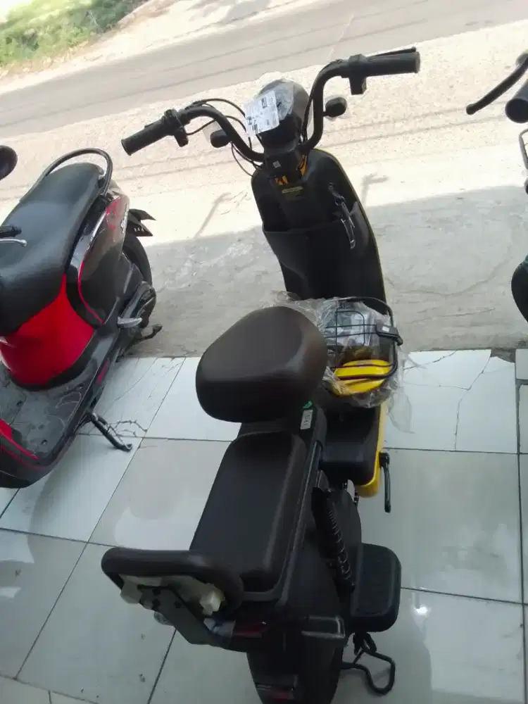 E-bike Pasific asterio