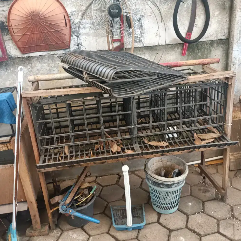 Kandang Ayam Petelur Murah
