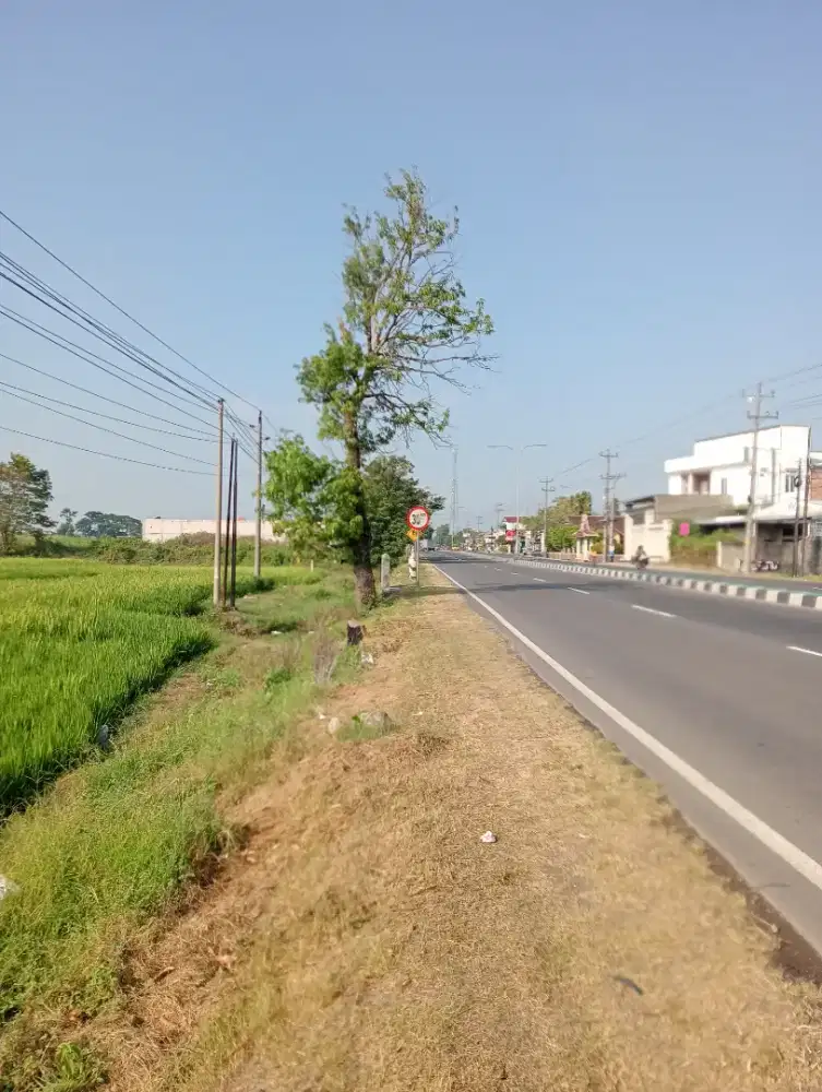 Tanah luas dekat Kota Sragen