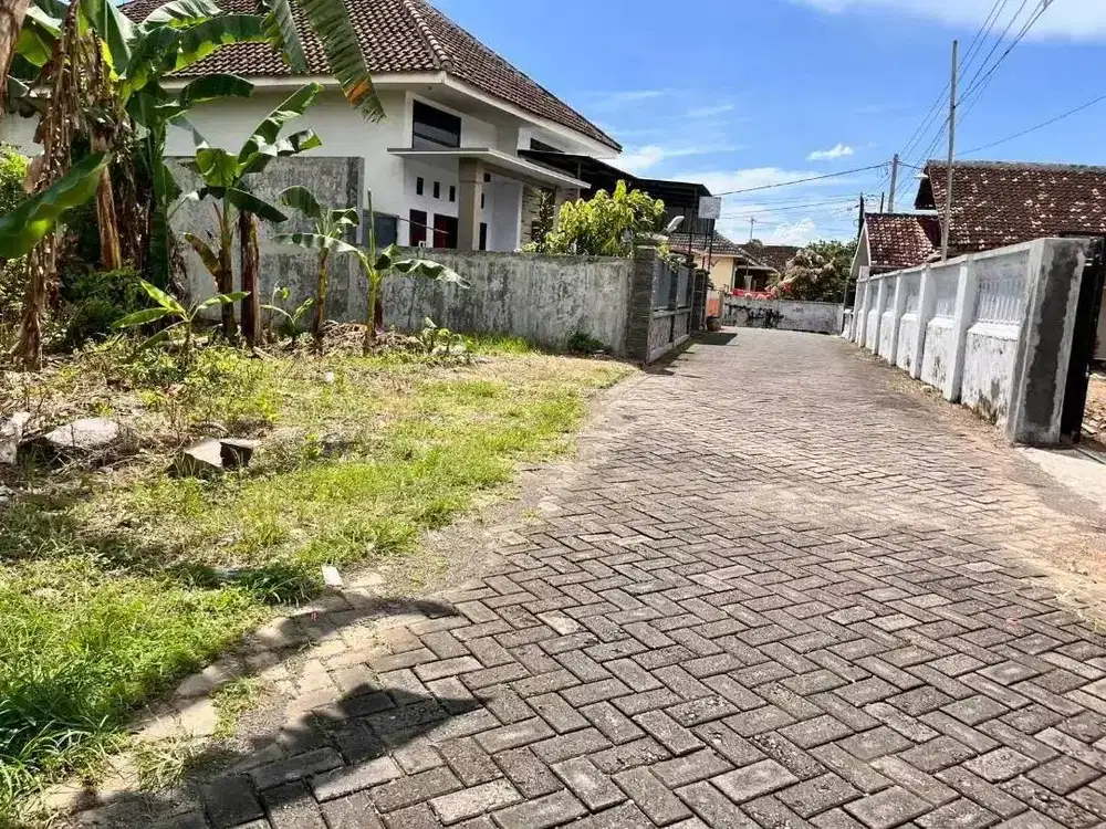 Tanah Dekat Roxy Hanya 1 Jutaan Prospek Kos Kosan