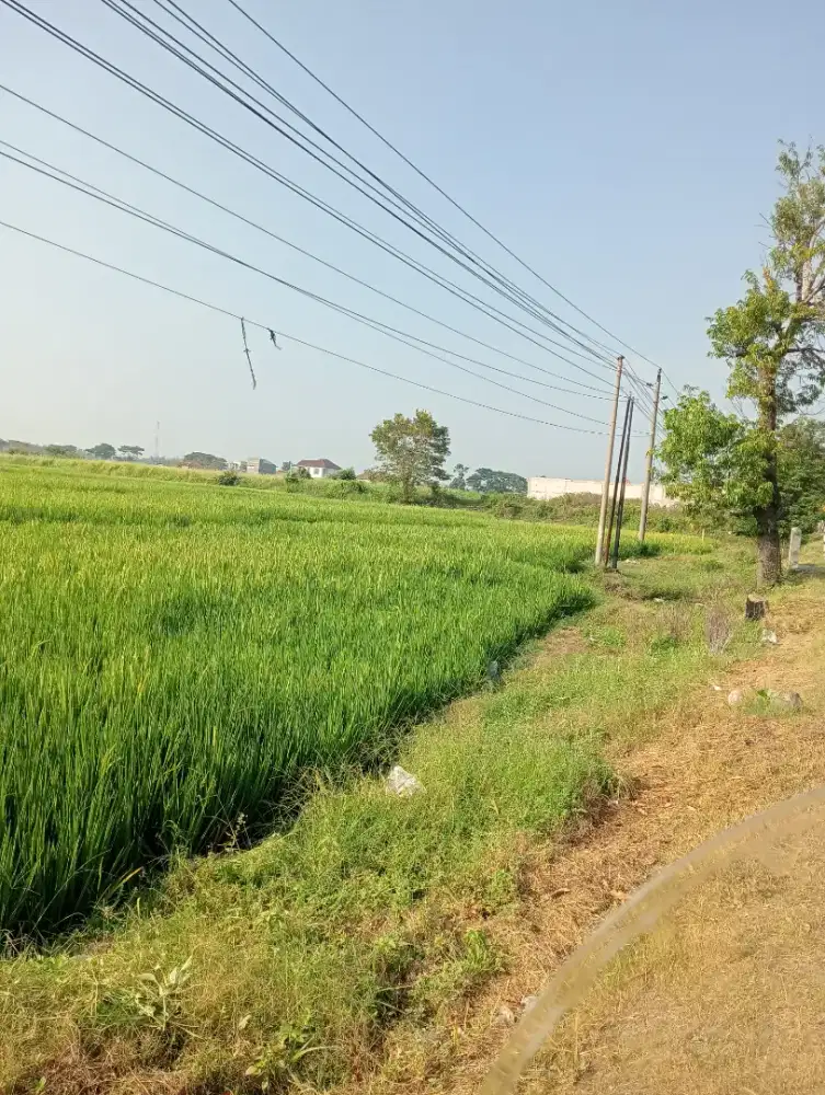 Cocok buat gudang dekat kota Sragen
