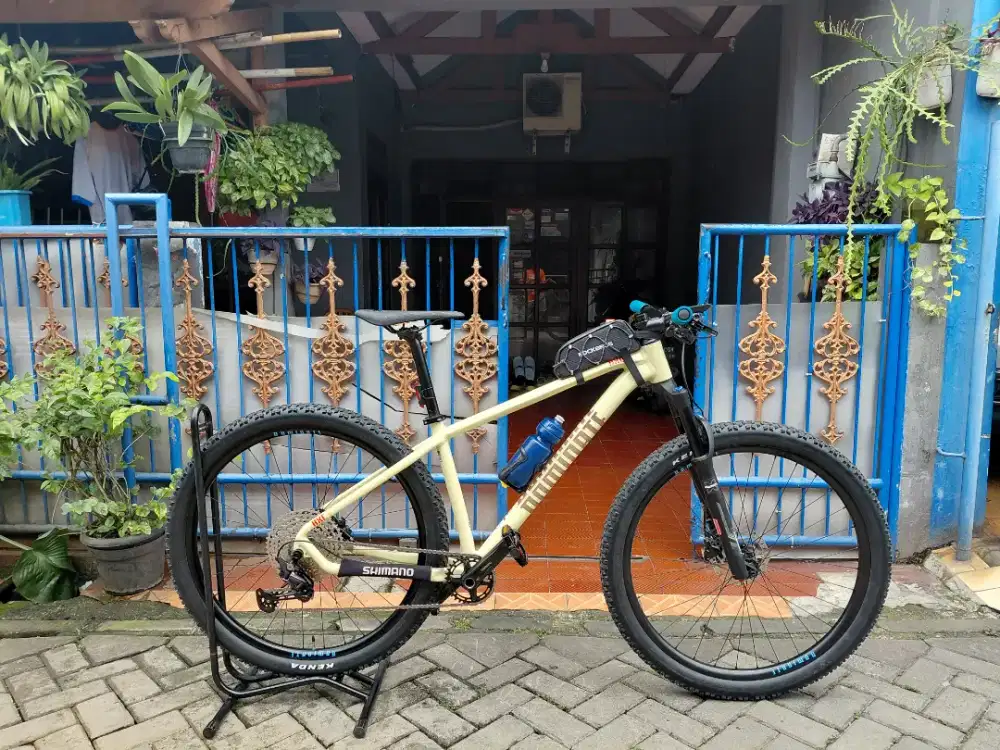 Dominate AXC 2 COMP R DEORE 1×12 Speed