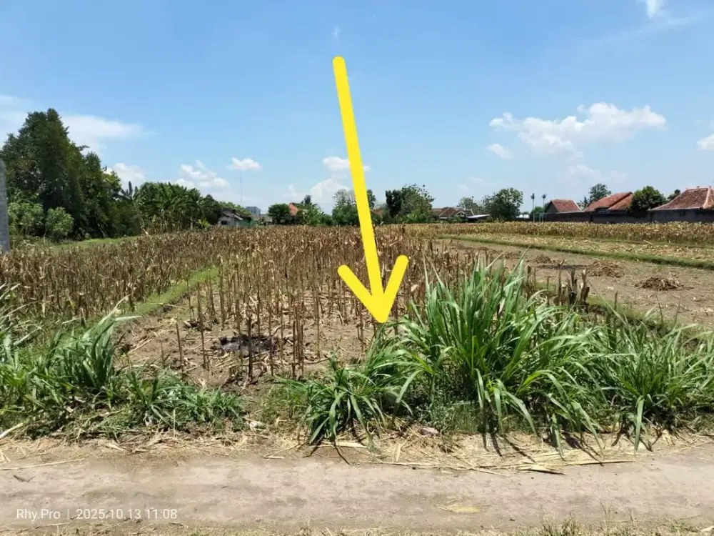Tanah Sawah Bagus Murah di Prambanan Sleman #Kode : TS 011
